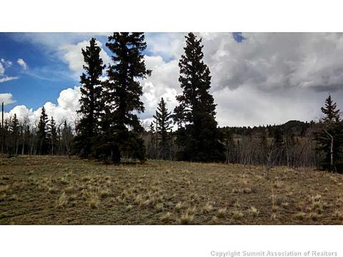 1207 Warrior Cir, Como, CO 80432 photo 5