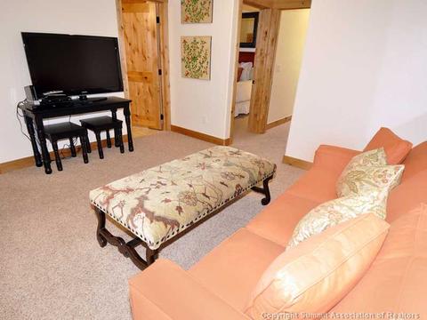 335 Bald Eagle Rd, Silverthorne, CO 80498 photo 15