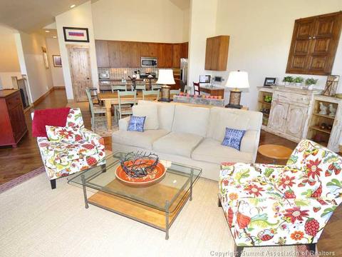 335 Bald Eagle Rd, Silverthorne, CO 80498 photo 6
