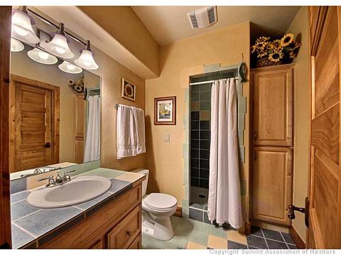 22 Thimbleberry Way, Silverthorne, CO 80498 photo 20