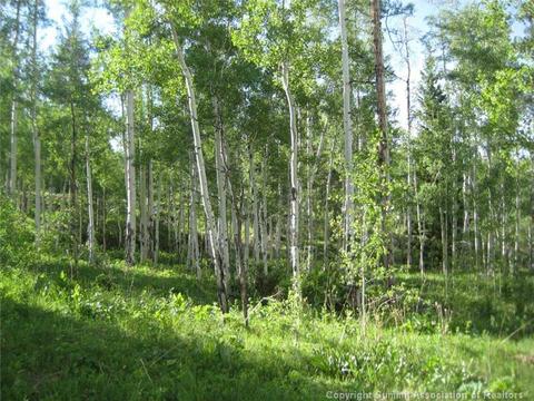 277 Two Cabins Dr, Silverthorne, CO 80498 photo 2