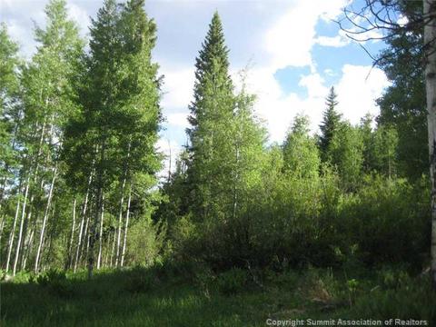 277 Two Cabins Dr, Silverthorne, CO 80498 photo 5