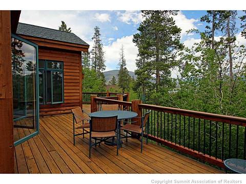133 Solomons Ln, Silverthorne, CO 80498 photo 3