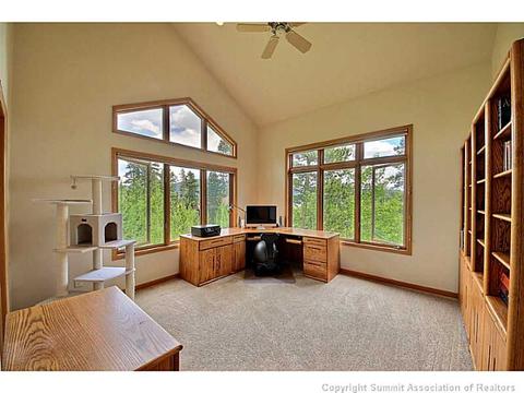 133 Solomons Ln, Silverthorne, CO 80498 photo 6
