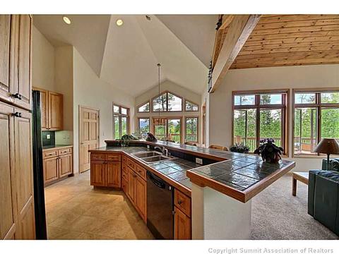 133 Solomons Ln, Silverthorne, CO 80498 photo 8