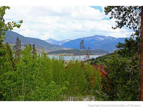 133 Solomons Ln, Silverthorne, CO 80498 photo 1