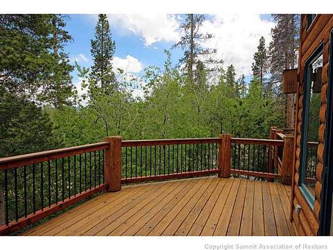 133 Solomons Ln, Silverthorne, CO 80498 photo 4