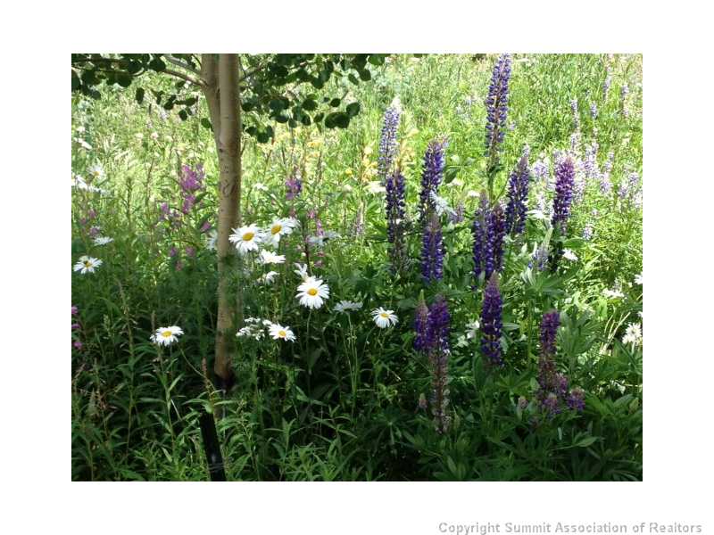  801 Twenty Grand Dr #801, Silverthorne, CO 80498 photo 18