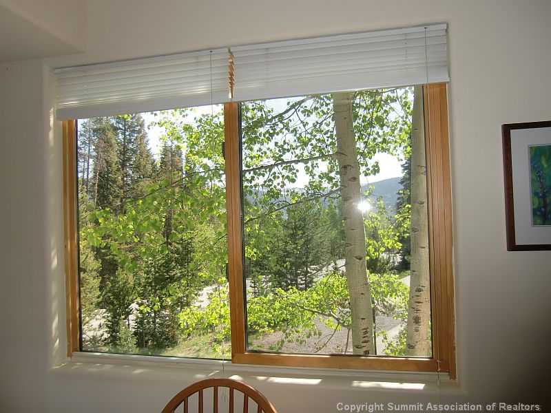  801 Twenty Grand Dr #801, Silverthorne, CO 80498 photo 8