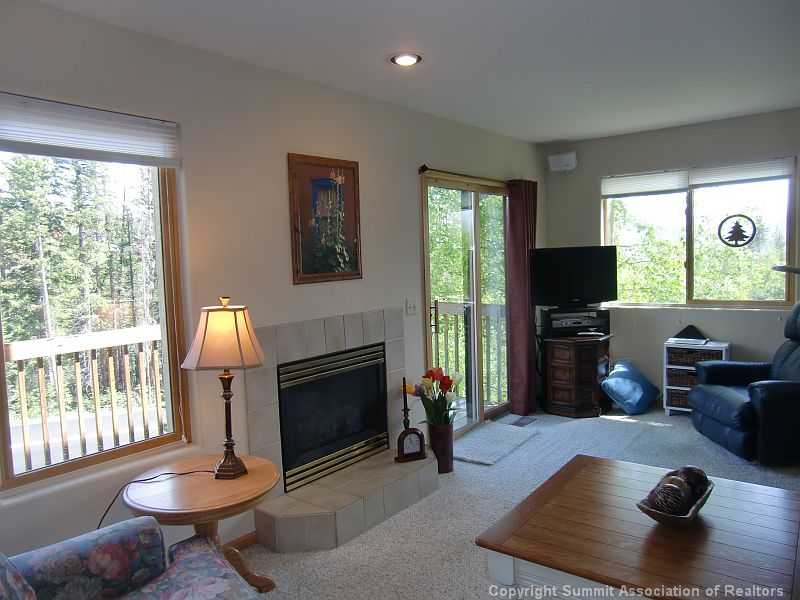  801 Twenty Grand Dr #801, Silverthorne, CO 80498 photo 5