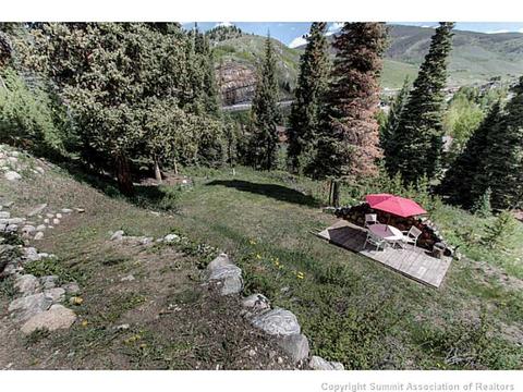 600 Piney Acres Cir, Dillon, CO 80435 photo 18