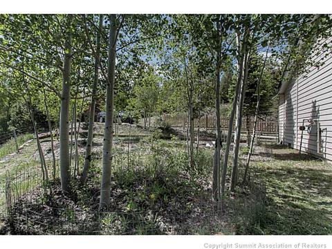 600 Piney Acres Cir, Dillon, CO 80435 photo 17