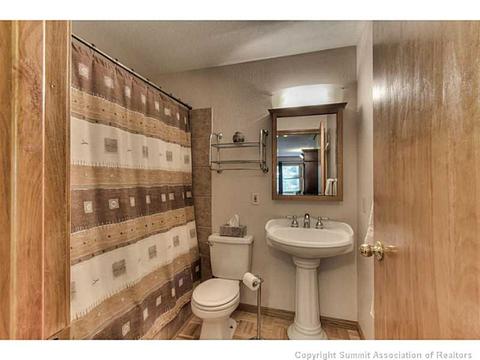 600 Piney Acres Cir, Dillon, CO 80435 photo 9