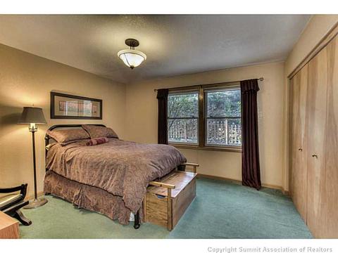 600 Piney Acres Cir, Dillon, CO 80435 photo 10