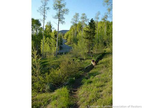 66 Spinning Leaf Trl, Silverthorne, CO 80498 photo 24