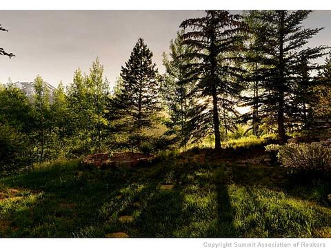 66 Spinning Leaf Trl, Silverthorne, CO 80498 photo 25
