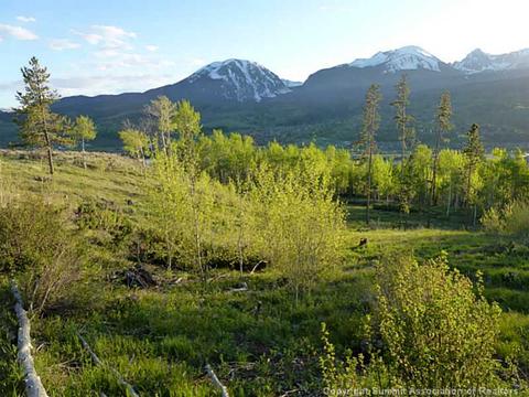 66 Spinning Leaf Trl, Silverthorne, CO 80498 photo 23
