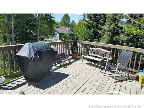 291 Alpine Rd, Dillon, CO 80435 photo 7