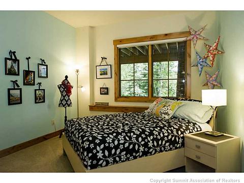 730 Willowbrook Rd, Silverthorne, CO 80498 photo 10