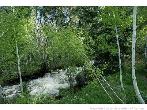 730 Willowbrook Rd, Silverthorne, CO 80498 photo 24