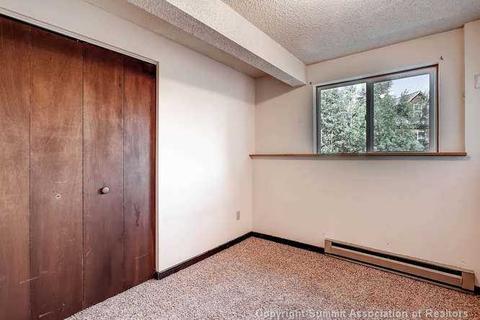 36 Avalanche Cir, Dillon, CO 80435 photo 8