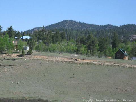 381 Creedmore Ln, Como, CO 80432 photo 3