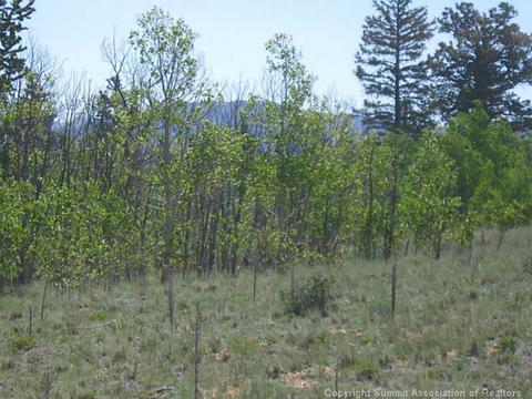 381 Creedmore Ln, Como, CO 80432 photo 5