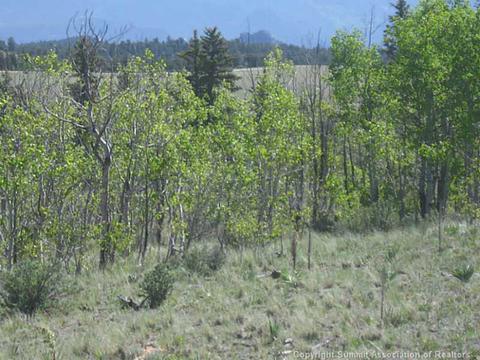 381 Creedmore Ln, Como, CO 80432 photo 6