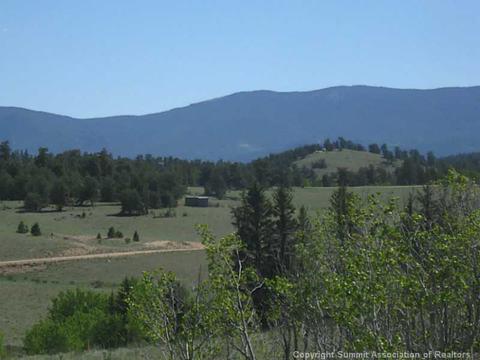381 Creedmore Ln, Como, CO 80432 photo 4