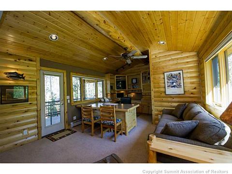 311 Red Hawk Cir, Silverthorne, CO 80498 photo 18