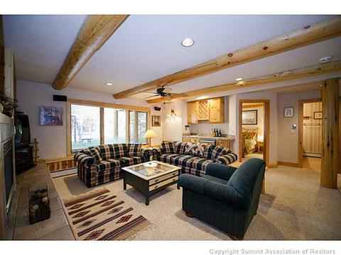 311 Red Hawk Cir, Silverthorne, CO 80498 photo 13
