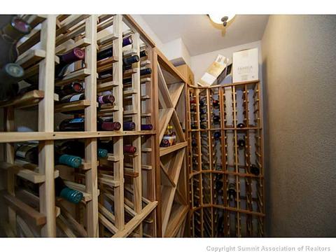 311 Red Hawk Cir, Silverthorne, CO 80498 photo 20