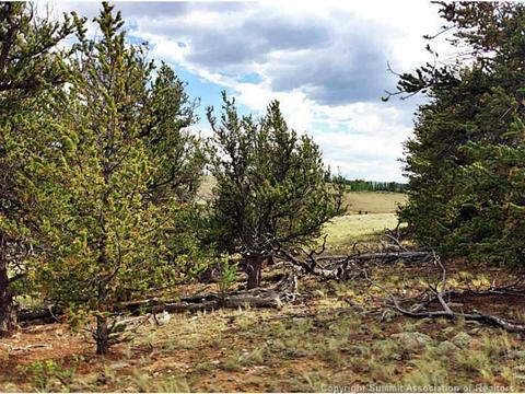 42 Hacney Ln, Como, CO 80432 photo 1