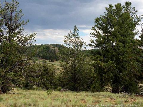 42 Hacney Ln, Como, CO 80432 photo 2