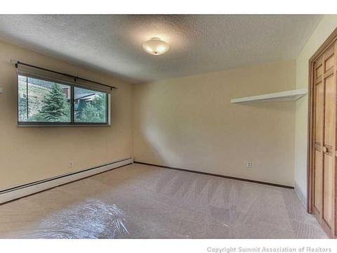445 Straight Creek Dr #A, Dillon, CO 80435 photo 9