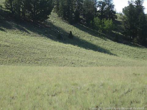 472 Tatanka Trl, Como, CO 80432 photo 4
