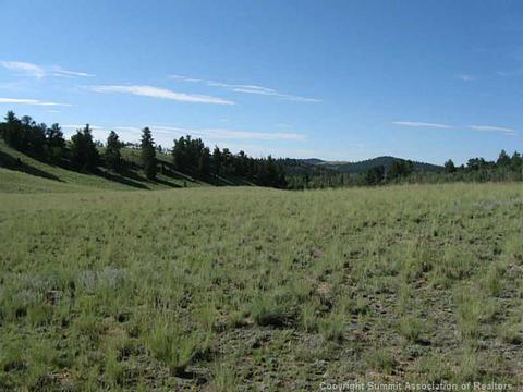 472 Tatanka Trl, Como, CO 80432 photo 2