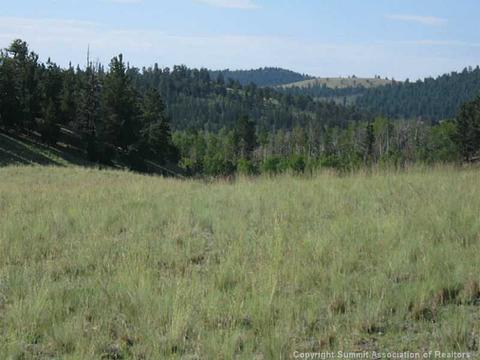 472 Tatanka Trl, Como, CO 80432 photo 3