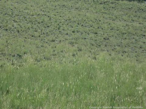 472 Tatanka Trl, Como, CO 80432 photo 5