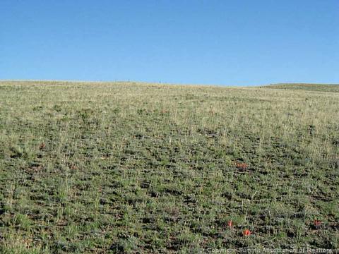 59 Sol Way, Como, CO 80432 photo 3