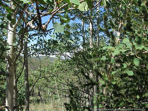 397 Quiver Rd, Como, CO 80432 photo 3