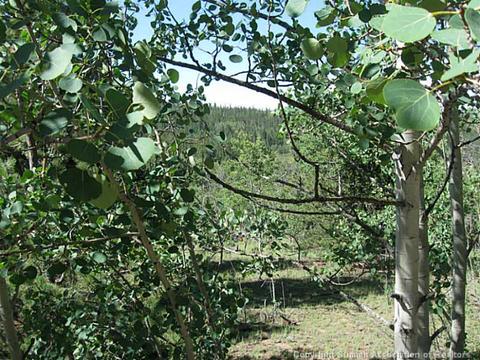 397 Quiver Rd, Como, CO 80432 photo 2
