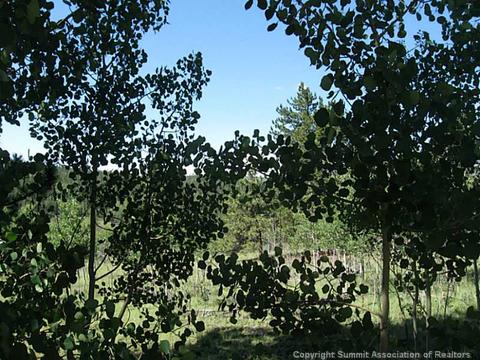 397 Quiver Rd, Como, CO 80432 photo 1