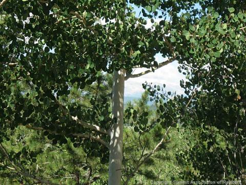 397 Quiver Rd, Como, CO 80432 photo 5