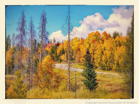 191 N Side Cir, Silverthorne, CO 80498 photo 19