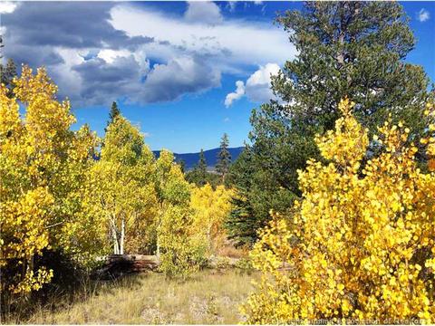 61 Pin Lock Way, Como, CO 80456 photo 2