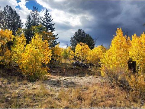 61 Pin Lock Way, Como, CO 80456 photo 3