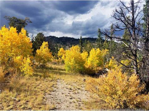 61 Pin Lock Way, Como, CO 80456 photo 4