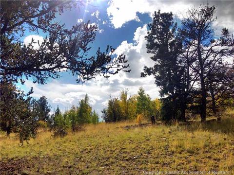 61 Pin Lock Way, Como, CO 80456 photo 5