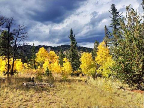 61 Pin Lock Way, Como, CO 80456 photo 1